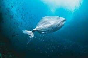 US Ocean Sustainability