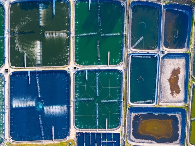 An aerial view of a meticulously managed offshore aquaculture farm, showcasing sustainable fish farming practices with clear water and healthy fish populations, contrasting with traditional, high-impact methods.