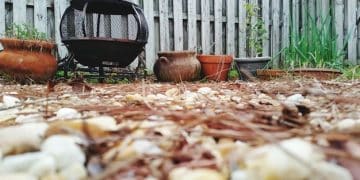 Cut Your Waste in Half: Your Home Composting Guide for 50% Less Landfill Waste - Cover Image