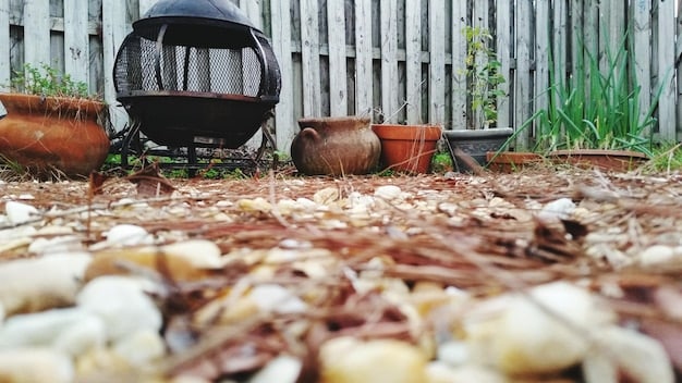 Cut Your Waste in Half: Your Home Composting Guide for 50% Less Landfill Waste