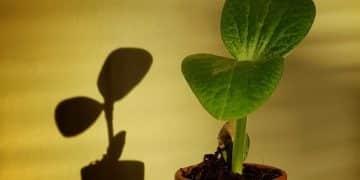 Sustainable Gardening: Grow Food, Reduce Impact in 2025 - Cover Image