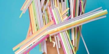 The Ultimate Guide to Recycling: Maximize Efforts, Cut Waste by 35% - Cover Image
