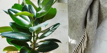 Sustainable Home Decor: Eco-Friendly Materials for Your Home - Cover Image