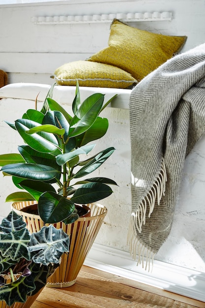 Sustainable Home Decor: Eco-Friendly Materials for Your Home