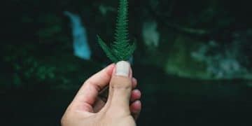 Greenwashing: Identify Misleading Eco-Friendly Claims 2025 - Cover Image