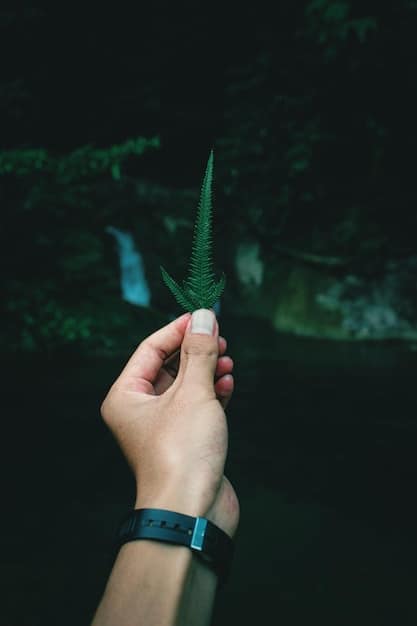 Greenwashing: Identify Misleading Eco-Friendly Claims 2025