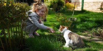 Eco-Friendly Pet Care: Reduce Your Pet's Environmental Paw Print by 40% - Cover Image