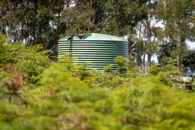 Rainwater Harvesting: Save Water, Cut Bills by 10%+