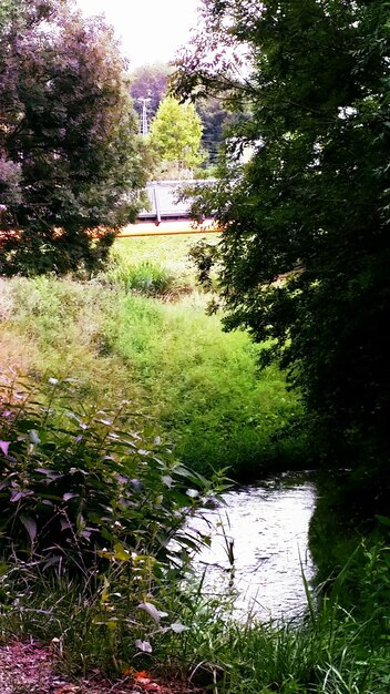 Eco-Friendly Landscaping: Sustainable Yards With Native Plants