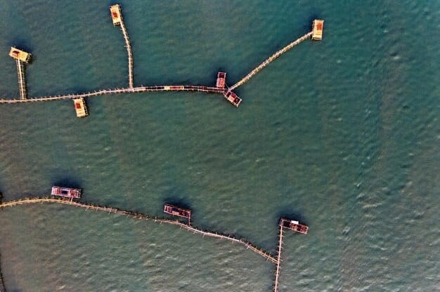 A drone view of extensive oyster farms in a calm bay, illustrating large-scale aquaculture efforts for shellfish production in coastal US regions.