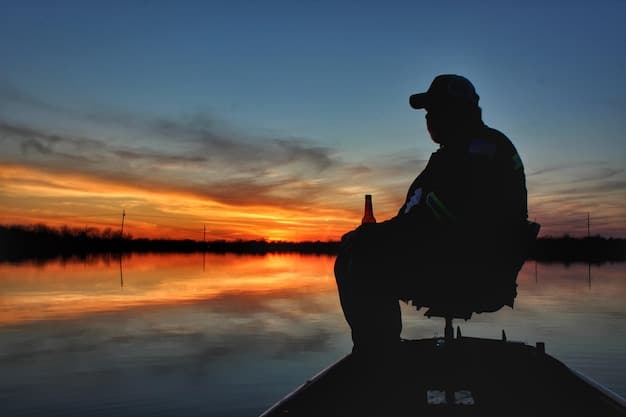 A fishing boat silhouetted against a setting sun, with a lone fisherman looking out over an empty fishing net, conveying a sense of struggle or diminished catches due to marine changes. The image should be evocative.