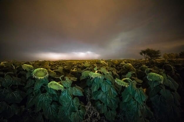 US Corn & Soy Yields 2027: Climate Change Impacts Revealed