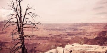 Climate Change's Impact on US National Parks & Protected Areas - Cover Image