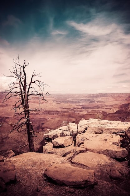 Climate Change’s Impact on US National Parks & Protected Areas