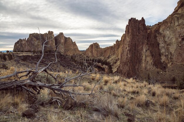 A parched riverbed winding through a canyon in a national park, with the sun beating down on the dry cracks and distant, hazy mountains.