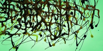 Climate Change's Role in US Invasive Species Spread - Cover Image