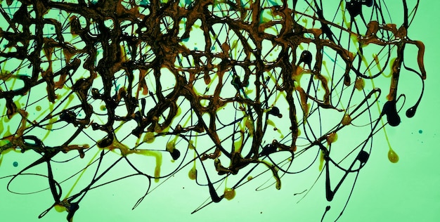 Climate Change’s Role in US Invasive Species Spread
