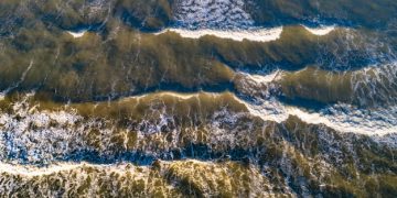 Ocean Current Shifts: US Marine Ecosystems at Risk - Cover Image