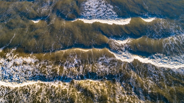 Ocean Current Shifts: US Marine Ecosystems at Risk