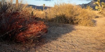 Climate Change's Role in US Southwest Droughts - Cover Image
