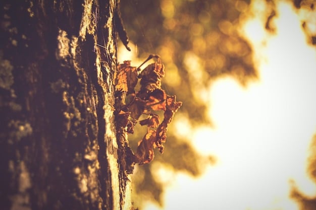 A close-up shot of a bee struggling to fly in extreme heat, with shimmering heatwaves visible in the background over dry, parched earth. Convey a sense of distress.