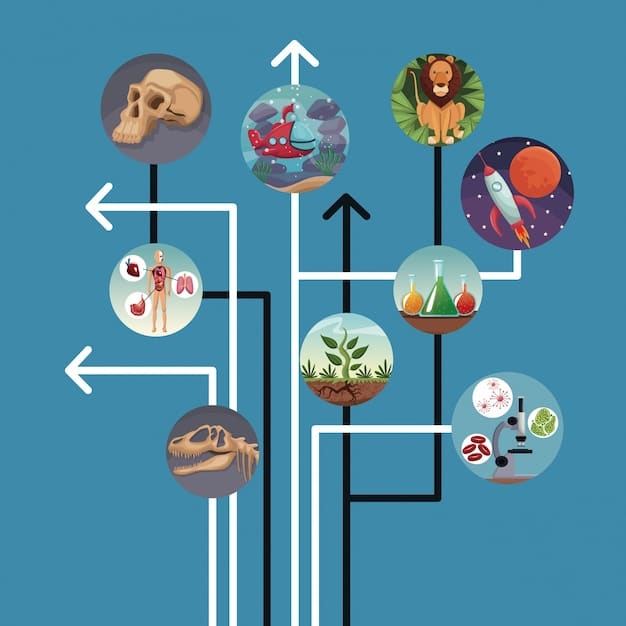 A visual representation of a complex food web in a healthy ecosystem, with arrows showing energy flow, and then a broken or faded version of the same web, illustrating the cascading effects of pollinator loss on other species and ecosystem functions.
