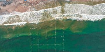 New Federal Regulations for Coastal Construction Permits in 2025 - Cover Image