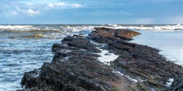 Coastal Erosion Mitigation Strategies: A 5-Year Review of Success Rates in the US - Cover Image