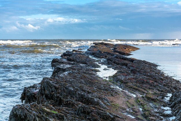 Coastal Erosion Mitigation Strategies: A 5-Year Review of Success Rates in the US