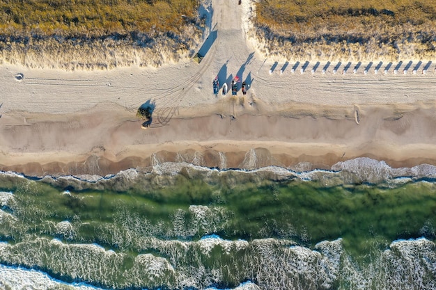 Volunteers planting dune grasses on a newly replenished beach, with an ocean view in the background and clear skies overhead.
