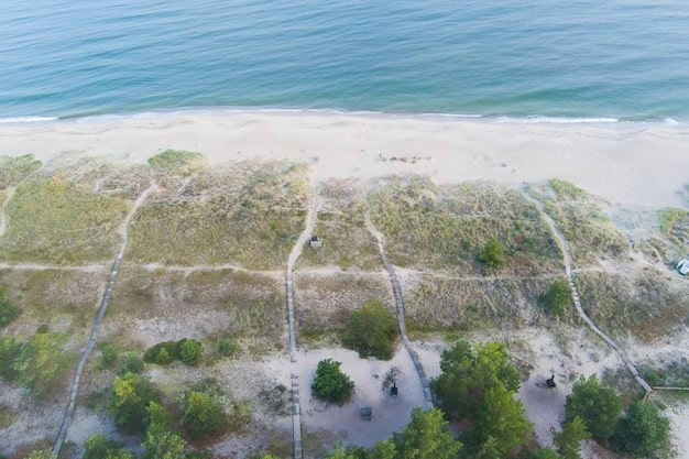 A dronegahs view of coastal erosion mitigation efforts, showing a healthy restored dune system with natural vegetation flourishing, protecting houses from the ocean.