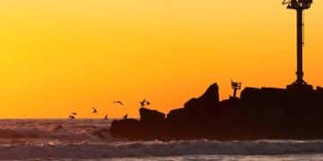 Coastal Conservation: Protecting US Species & Habitats - Cover Image