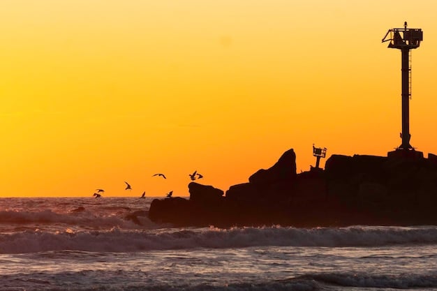 Coastal Conservation: Protecting US Species & Habitats