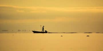Coastal Fishing Regulations: Updates for Sustainable Fisheries - Cover Image