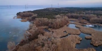 Coastal Wetlands: A Decade of Storm Surge Protection - Cover Image
