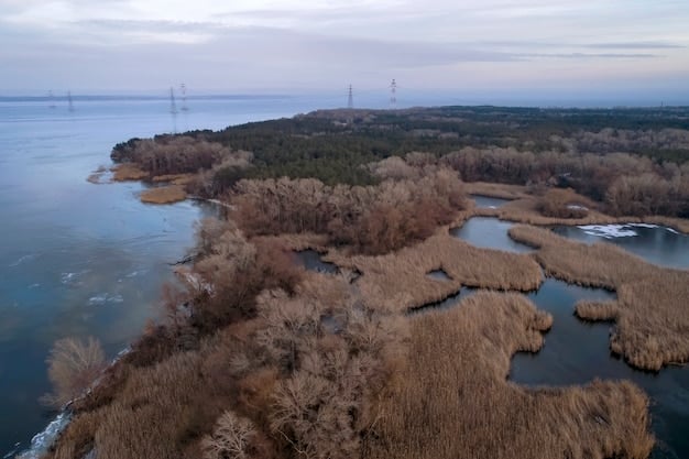 Coastal Wetlands: A Decade of Storm Surge Protection
