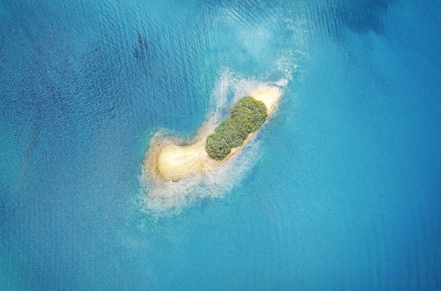 Marine Plastic Pollution: 6-Month Progress Report on New Initiatives