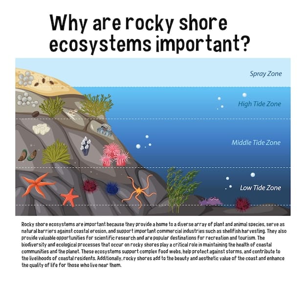 A schematic diagram illustrating the various zones of the deep ocean, from the epipelagic to the hadalpelagic, with small illustrations of characteristic marine life found in each zone, highlighting the regions of ongoing US deep-sea exploration.