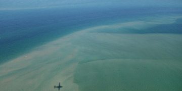 Ocean Acidification's Long-Term Impact on US Shellfish - Cover Image