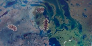 US State vs. Federal Marine Protected Areas: Key Differences Unveiled - Cover Image