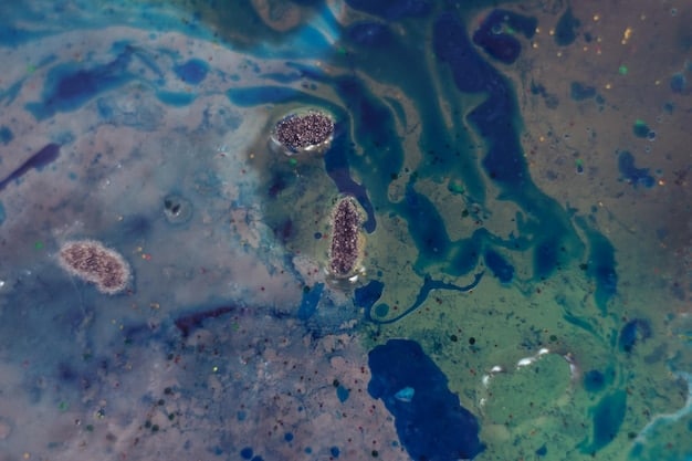 US State vs. Federal Marine Protected Areas: Key Differences Unveiled