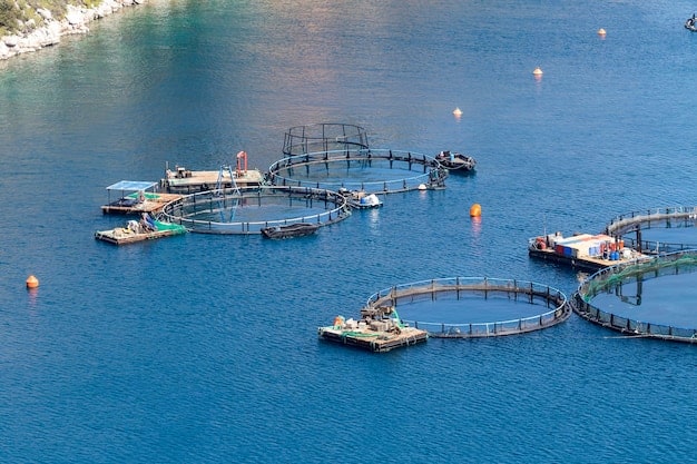 An advanced offshore aquaculture farm with large, submerged net pens for raising fish, surrounded by open ocean and equipped with monitoring technology.