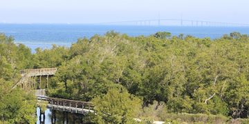 US Coastal Resilience: Preparing for Rising Seas & Marine Impact - Cover Image