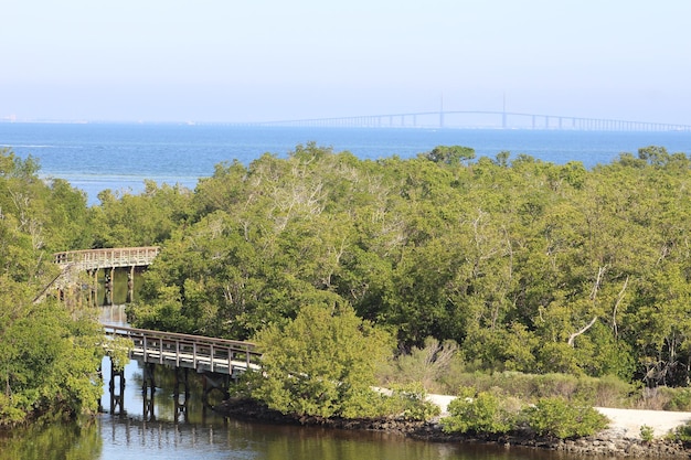 US Coastal Resilience: Preparing for Rising Seas & Marine Impact