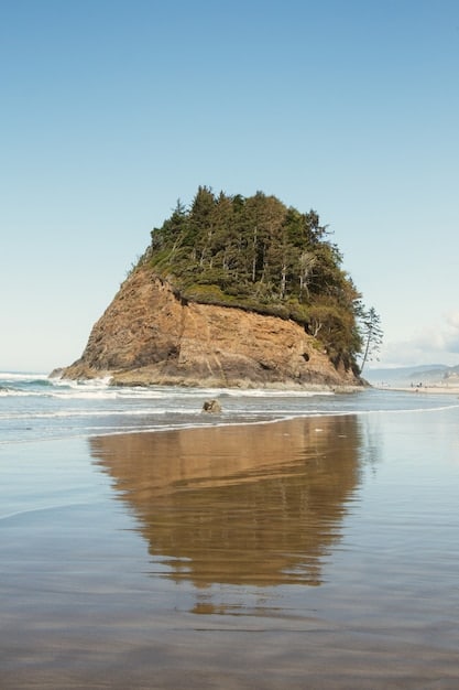 Effective Strategies to Reduce Marine Debris in US Coastal Areas