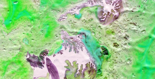 A satellite image showing the aftermath of a marine heatwave, with areas of ocean visible, highlighting widespread coral bleaching and fish die-offs.