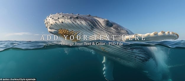 US Offshore Wind: Benefits & Risks for Marine Life