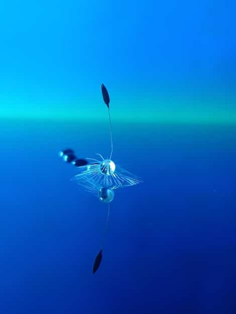 US Fishing Regulations: Impact on Marine Ecosystems Explored