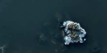 Latest Research on Oil Spills' Impact on US Marine Life - Cover Image