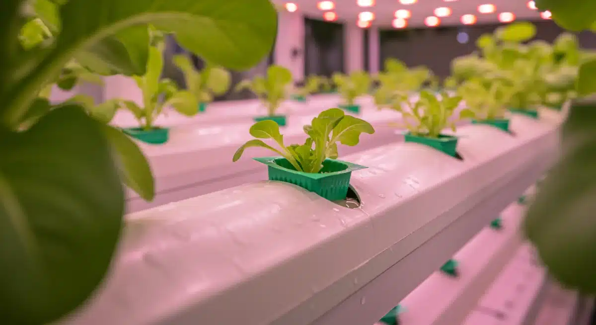 Hydroponic vertical garden system with thriving leafy greens under LED lights.